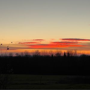 Meet your Posher, Phil